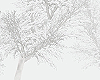-Snow Forest/Photoroom-