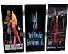 ~V~V~ WWE Monitors