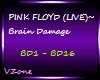 PINK FLOYD-Brain Damage