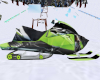 Ski Doo Snow Mobile G