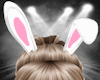 Playboy Bunny [WHITE]