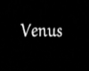 TO.Venus