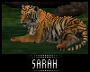 4K .:Tiger V2:.