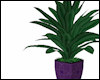 Serenity Plant V1 ~