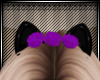 -H- Purple Flowers Kitty