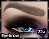22a_Eyebrows 2015-Brown