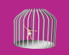 L: Caged Trish dancer