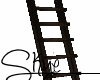 [S] Slytherin Ladder
