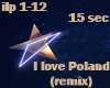 I Love Poland (remix)