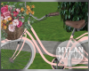 ~M~ | Dahlia Bicycle 3
