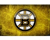 NHL Boston Bruins Flag