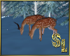 *Animated Fallow Deer