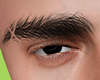 D|| 2Risc Brows DRV