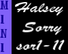 Halsey -  Sorry