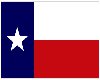 Texas Wall Flag