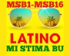 Latin Mi Stima Bu