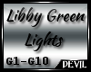 Custom Libby G DJ Lights