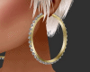 sw gold hoop earrings