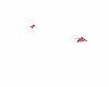 Animated Red Dragonflies