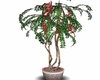 fern tree
