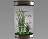 Modern Shark Tank