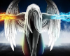 Angel of Fire and Ice