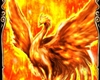 Phoenix Fire Fam Bandera
