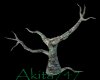 Akitas wiccan tree 2
