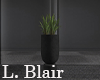 Plant | V9