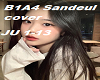 B1A4 Sandeul cover by me