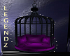 Purple Birdcage Swing