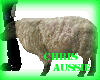 Farm Sheep Ride