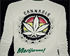 Cannbis marijuana