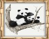 (DC) Framed Pandas