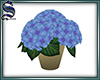 [S]Hydrangea Pot 01