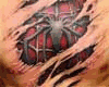 skin Spider-Man