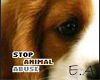 Animal Abuse II