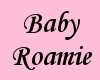 Baby Roamie