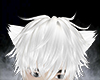 miau p2 - white