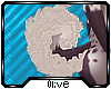 :0: Desta Tail v4