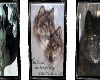 3 pic in of wolfs