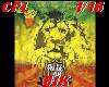 Cannabis PositYoung Lion