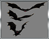 BATS