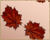 autumn avatar 2