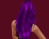 {QT} Anim Hair purple 