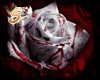 Gothic Bloody Rose