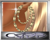 [CC] Gold Double Hoops