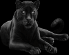 Black Panther CutOut -ME