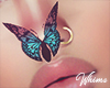 Petals Butterfly Nose