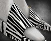 Zebra slides
